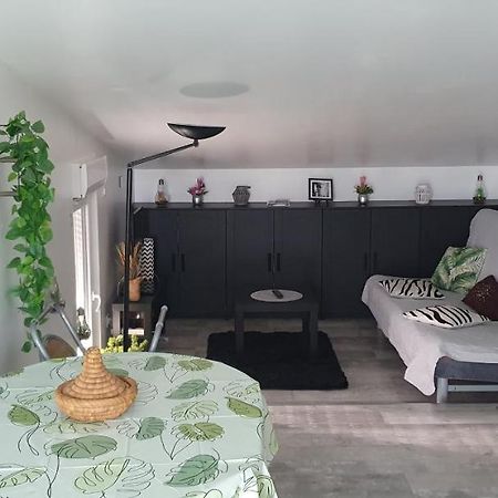 Appartement Cocooning Auterive Auterive  Kültér fotó